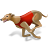 Greyhound Racing Icon