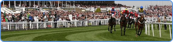 horse racing betting picture