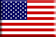 usa static flag