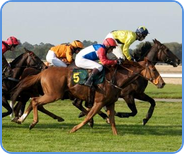 Horse racing - betting on Smarkets betting exchange