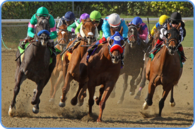 Horse racing at sports betting exchange
