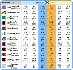 Back or Lay on Sports Betting Exchange