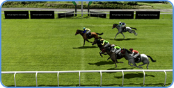 Betdaq virtual horse racing - finnish of the race