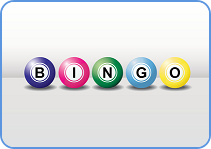 Bingo online logo